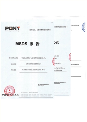 MSDS報告