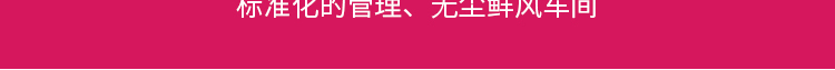 端午節小禮品